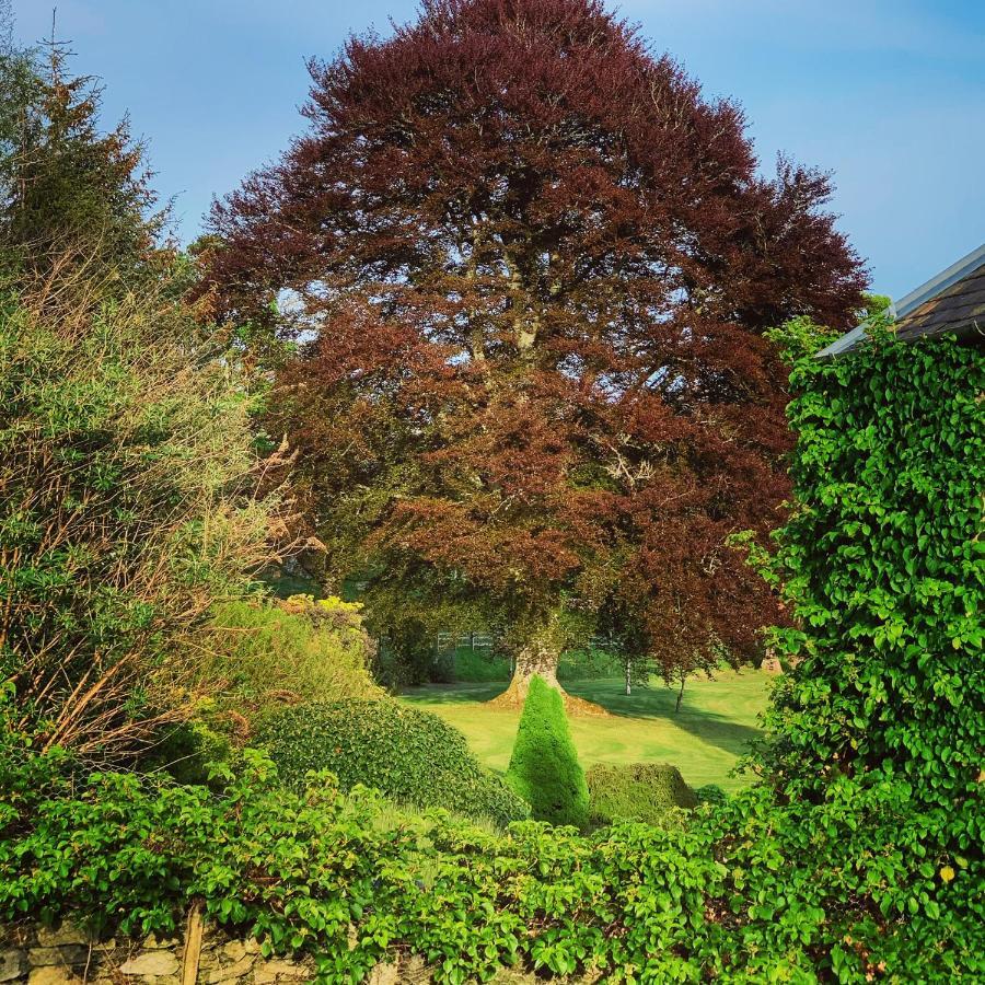 The Old Manse of Blair, Boutique Hotel&Restaurant Blair Atholl Extérieur photo